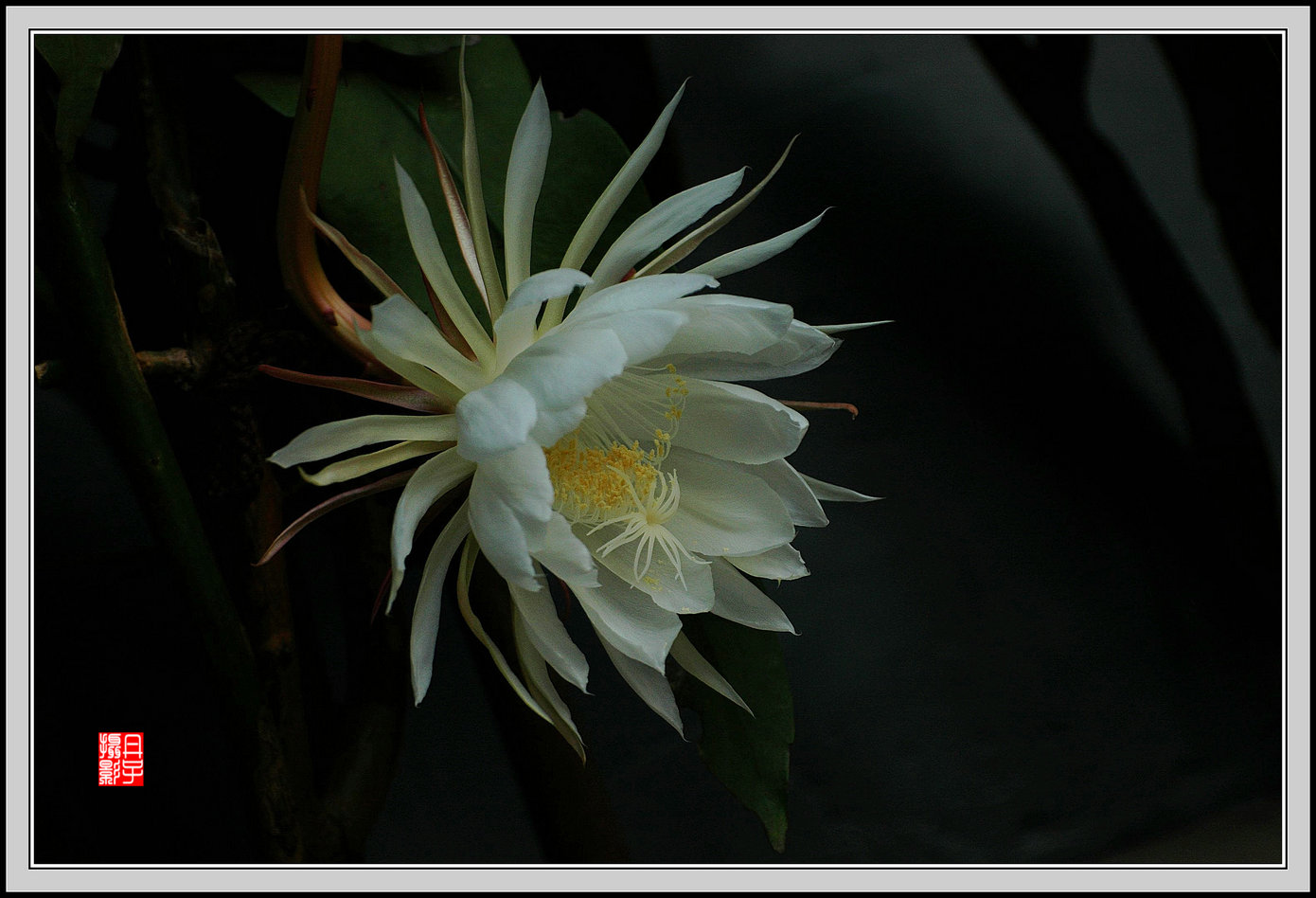 DSC_4634_副本_副本.jpg