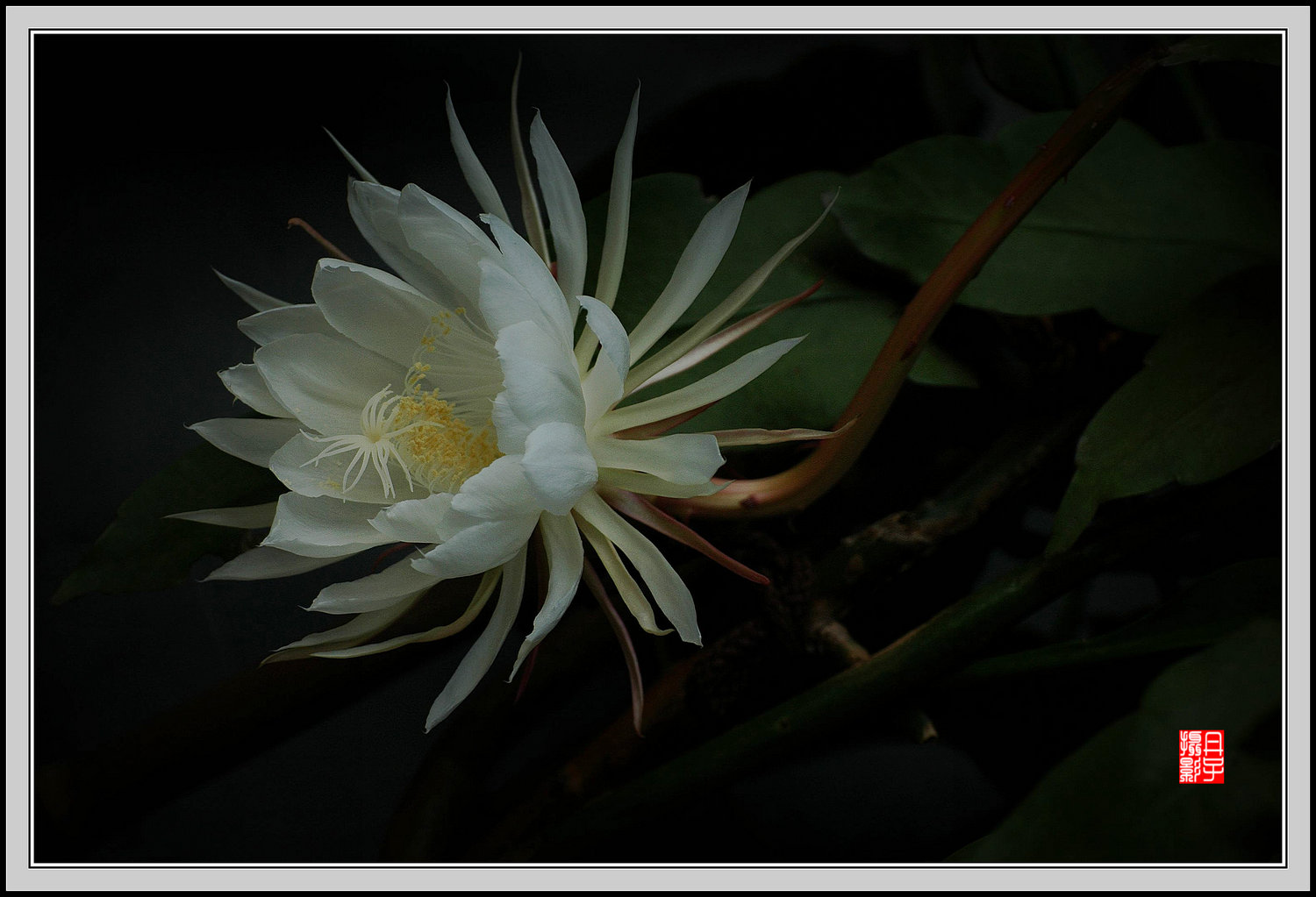 DSC_4639_副本_副本.jpg