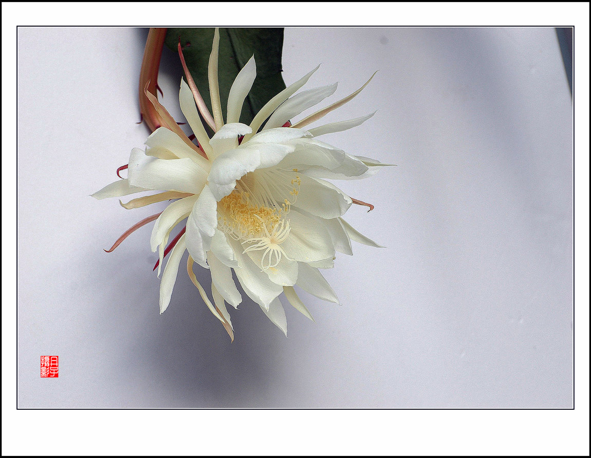 DSC_4702_副本_副本.jpg