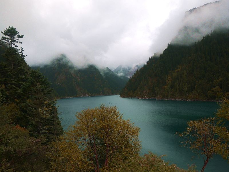 P1260257a.jpg