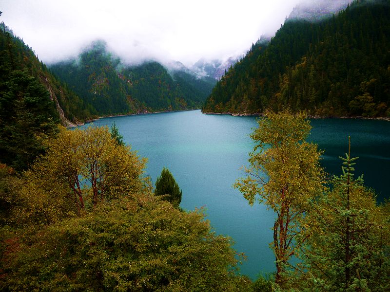P1260254a.jpg
