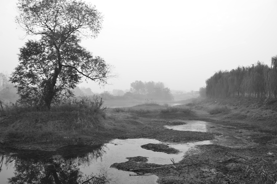 DSC_2009.jpg