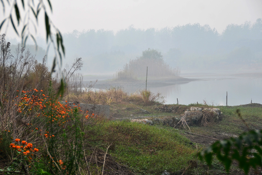 DSC_2026.jpg