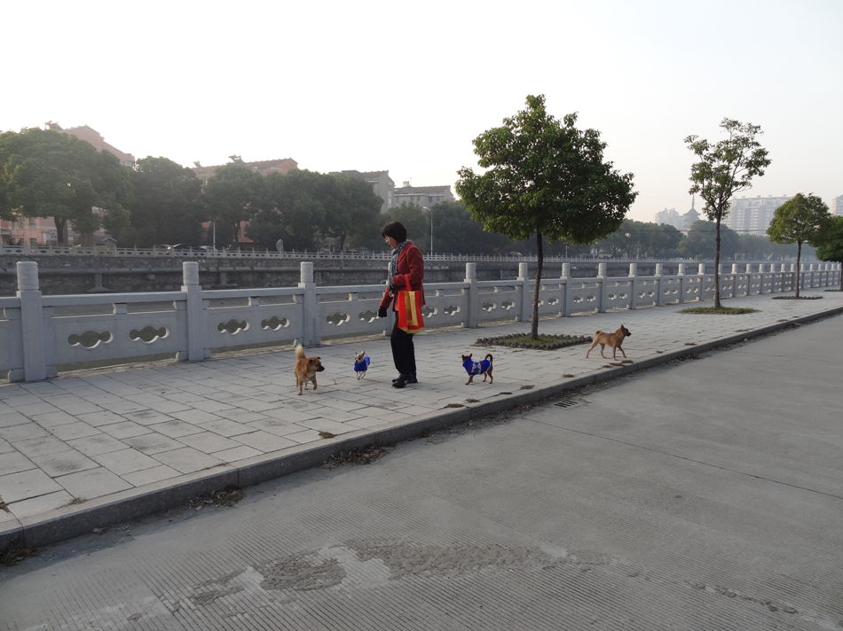 DSC07870_副本.jpg