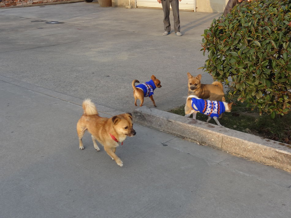 DSC07879_副本.jpg