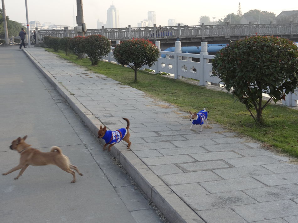 DSC07878_副本.jpg