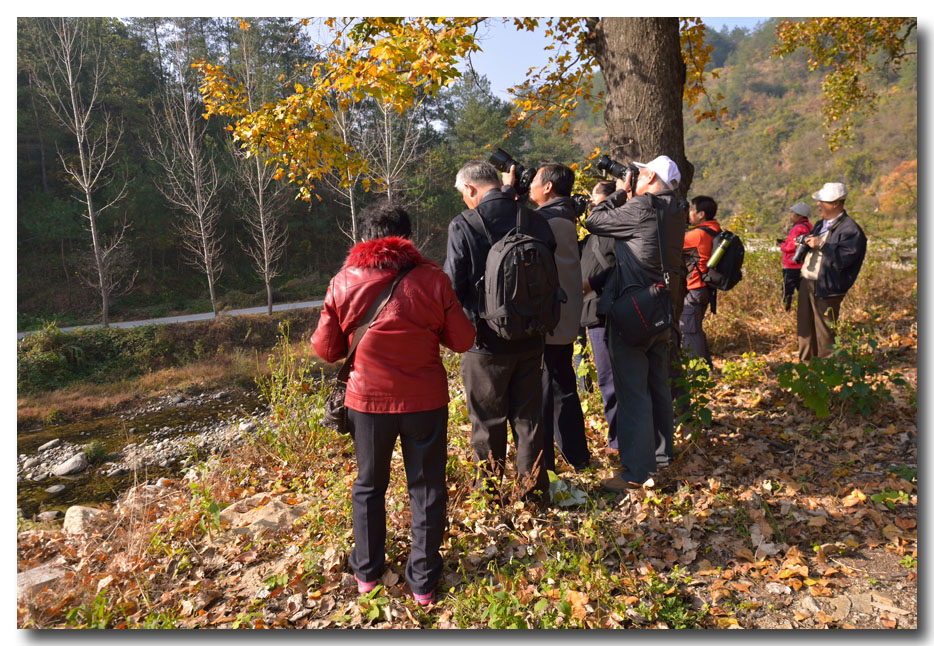 DSC_5310-3.jpg
