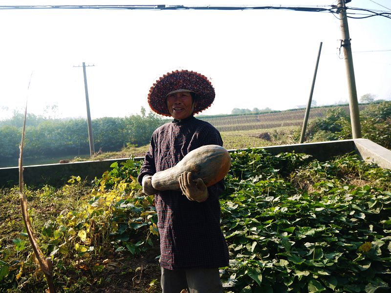 P1350063a.jpg