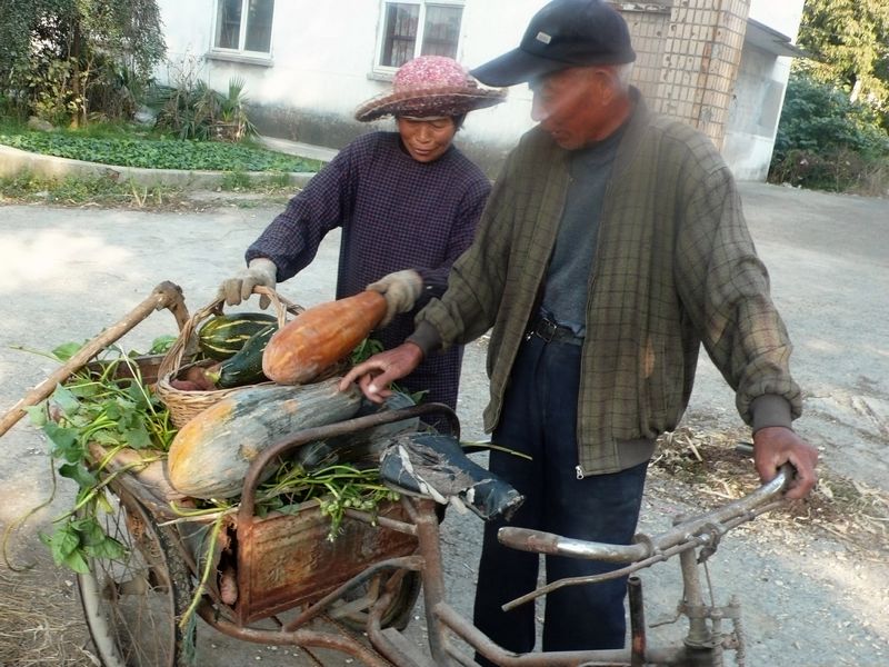 P1160502_看图王(1).jpg