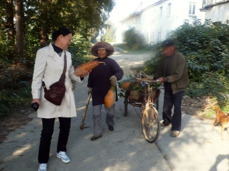 P1160529_看图王.jpg
