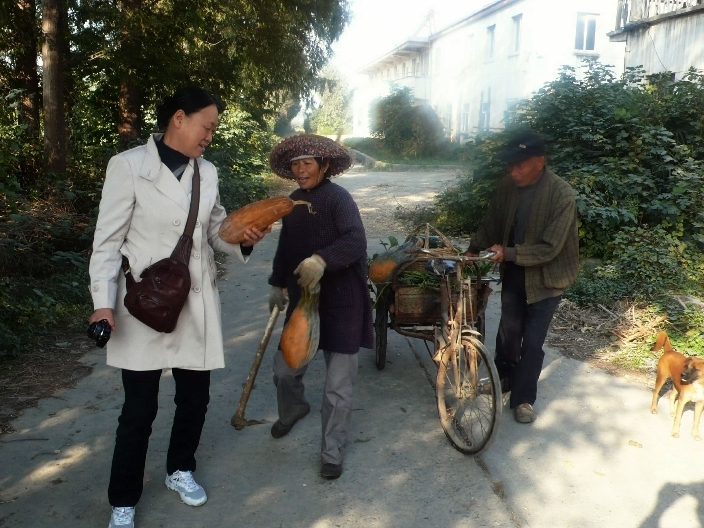 P1160530_看图王.jpg