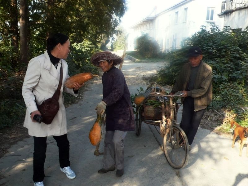 P1160531_看图王.jpg