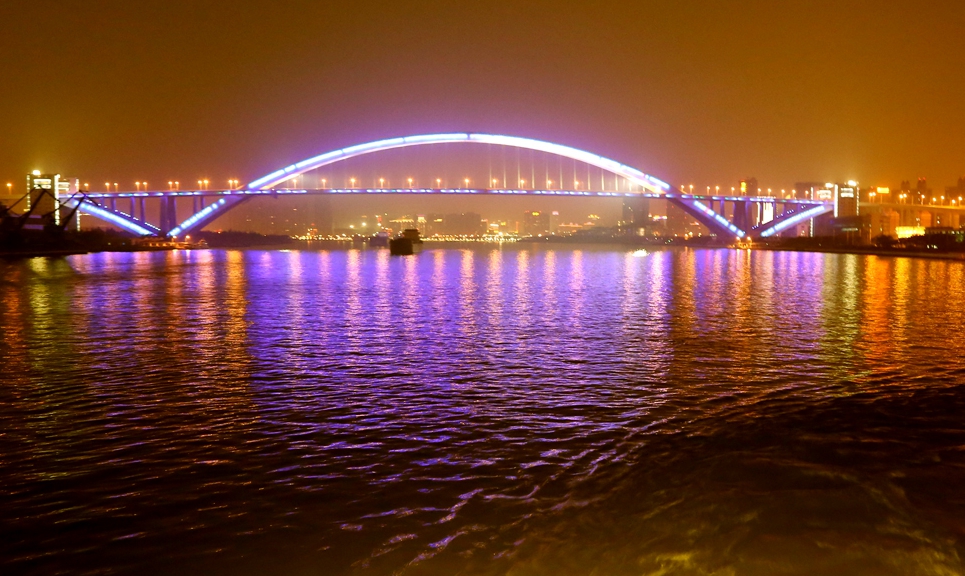 夜色下的南浦大桥.jpg