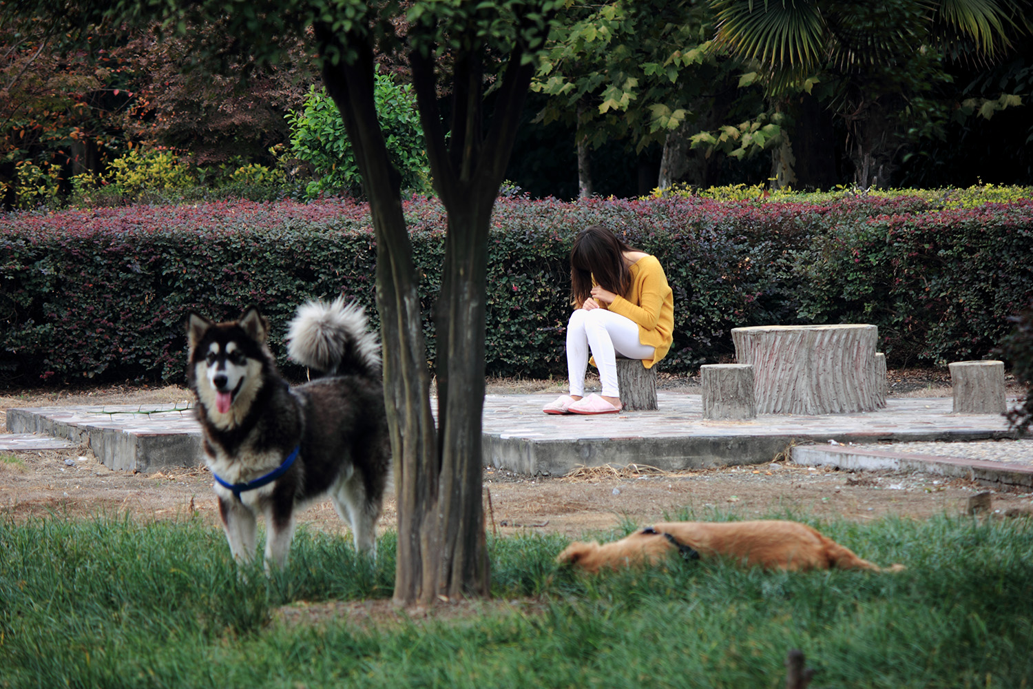 _MG_6534.JPG