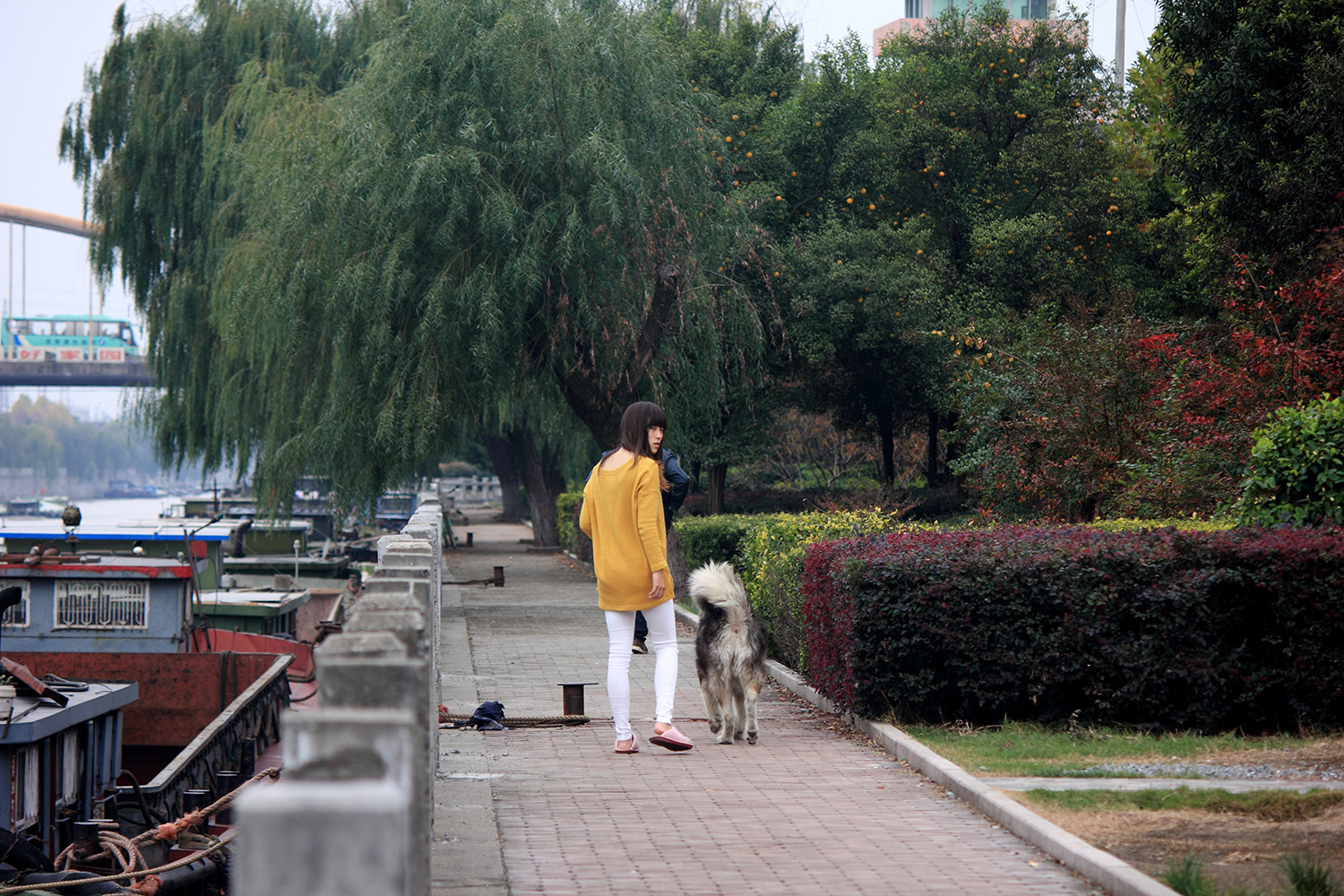_MG_6539.JPG