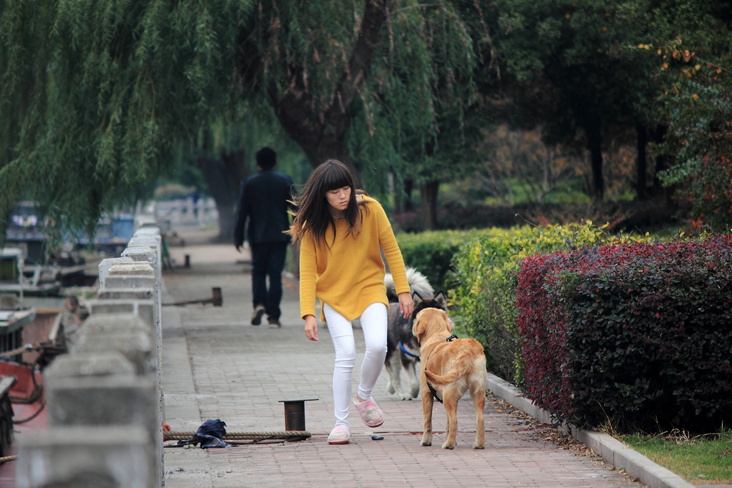 _MG_6545.JPG