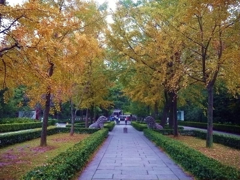 P1370072a.jpg