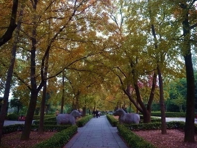 P1370053a.jpg