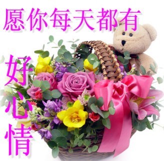QQ图片20131103123806.jpg