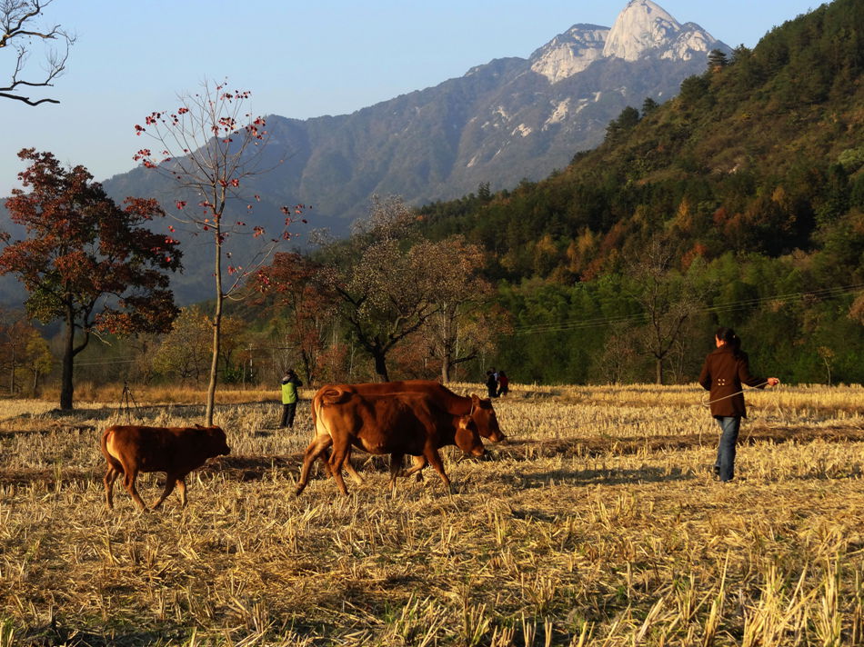 DSC08335_副本_副本.jpg