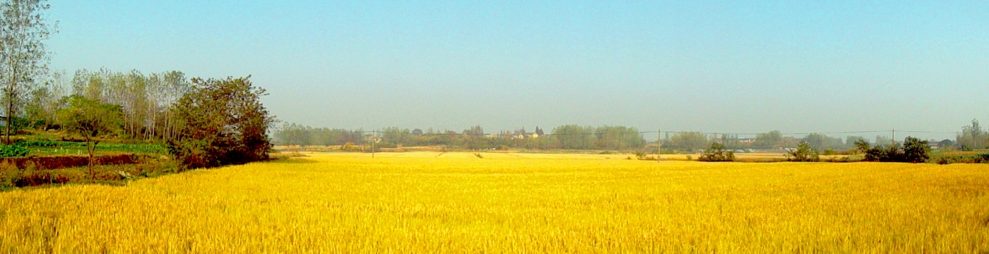 DSC07279xwty.JPG