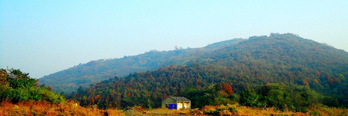 DSC01cljr.JPG