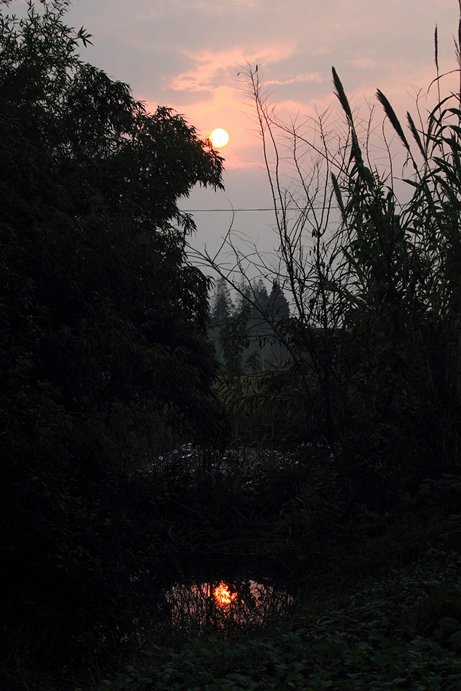 _MG_6918.JPG