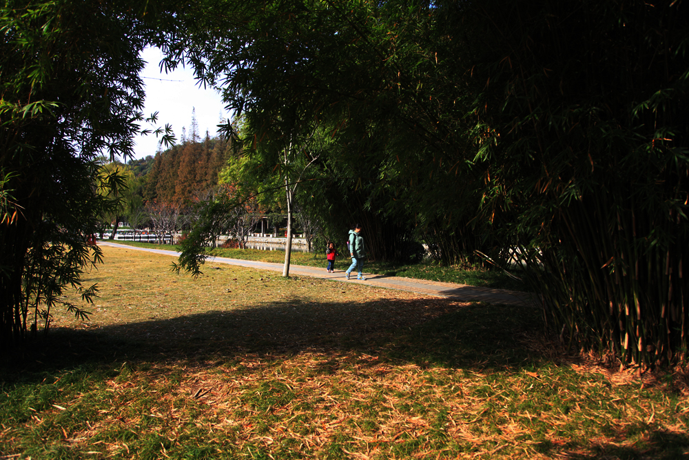 11.11焦山 146.jpg