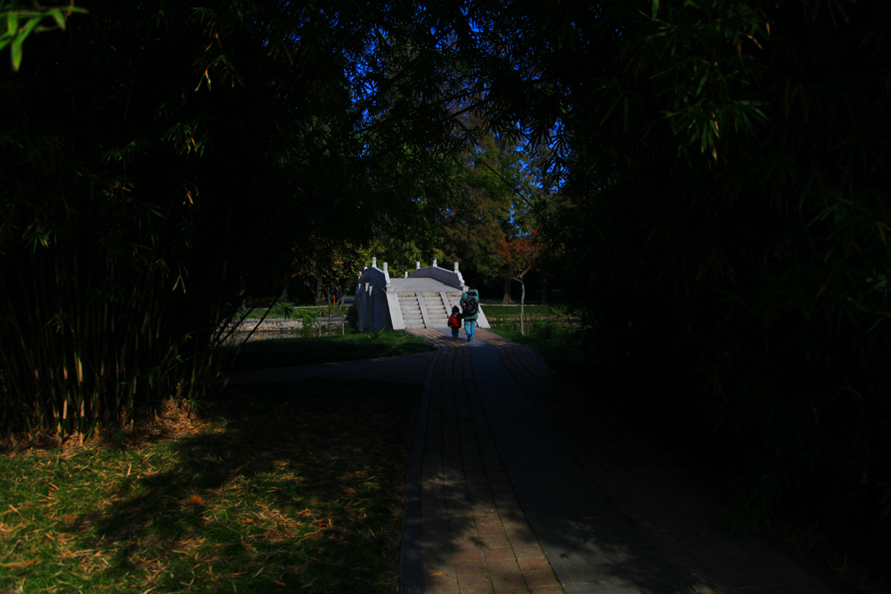 11.11焦山 148.jpg