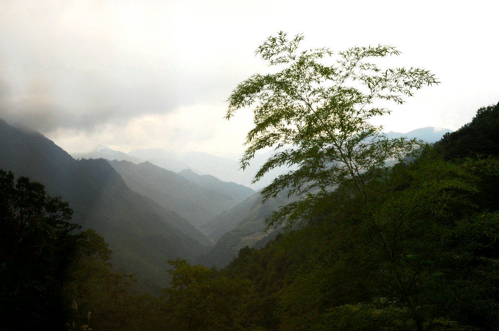 DSC_0619_副本.JPG