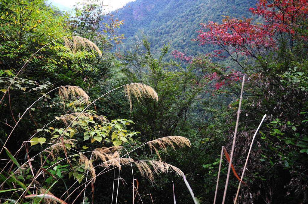 DSC_0790_副本.JPG