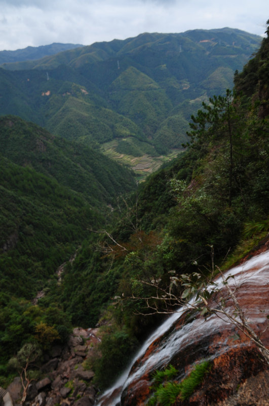 DSC_0764_副本.JPG