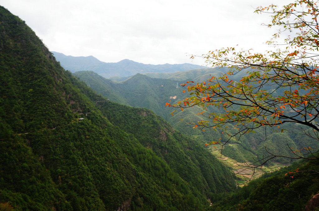 DSC_0770_副本.JPG