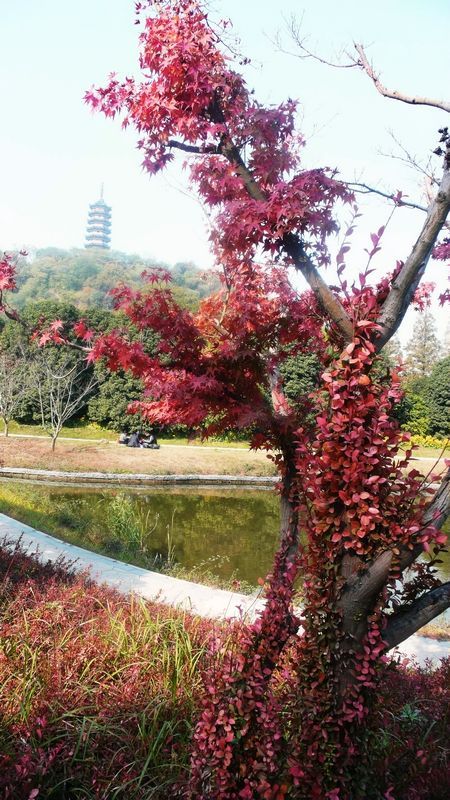 P1220181_看图王.jpg