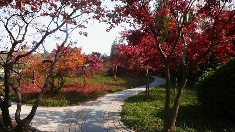 P1220200_看图王.jpg