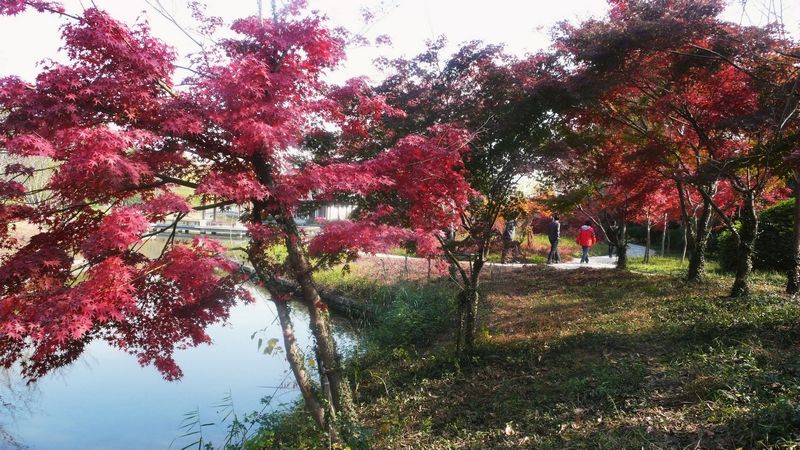 P1220208_看图王.jpg