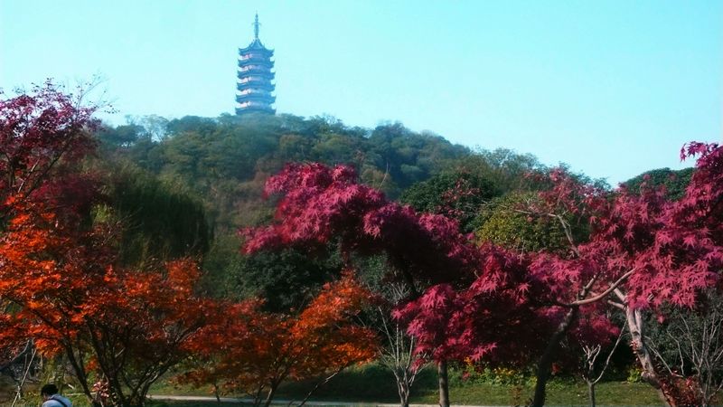P1220396_看图王.jpg