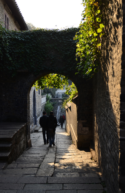 DSC_2523.jpg