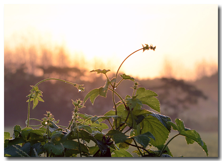 DSC_1722-3.jpg