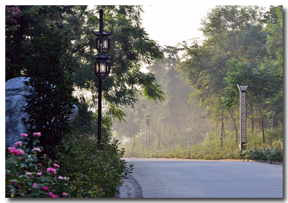 DSC_1736-3.jpg
