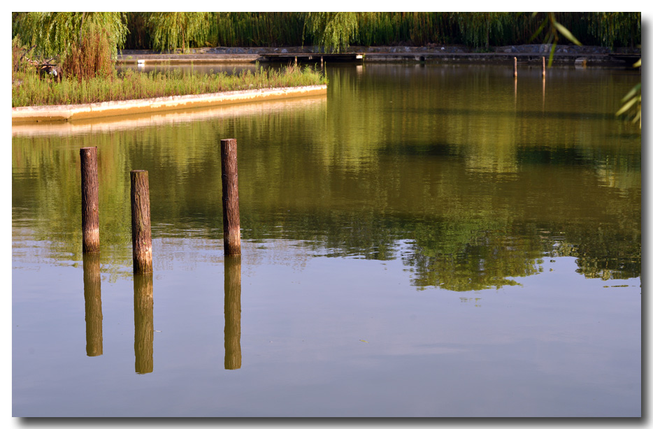 DSC_1808-3.jpg