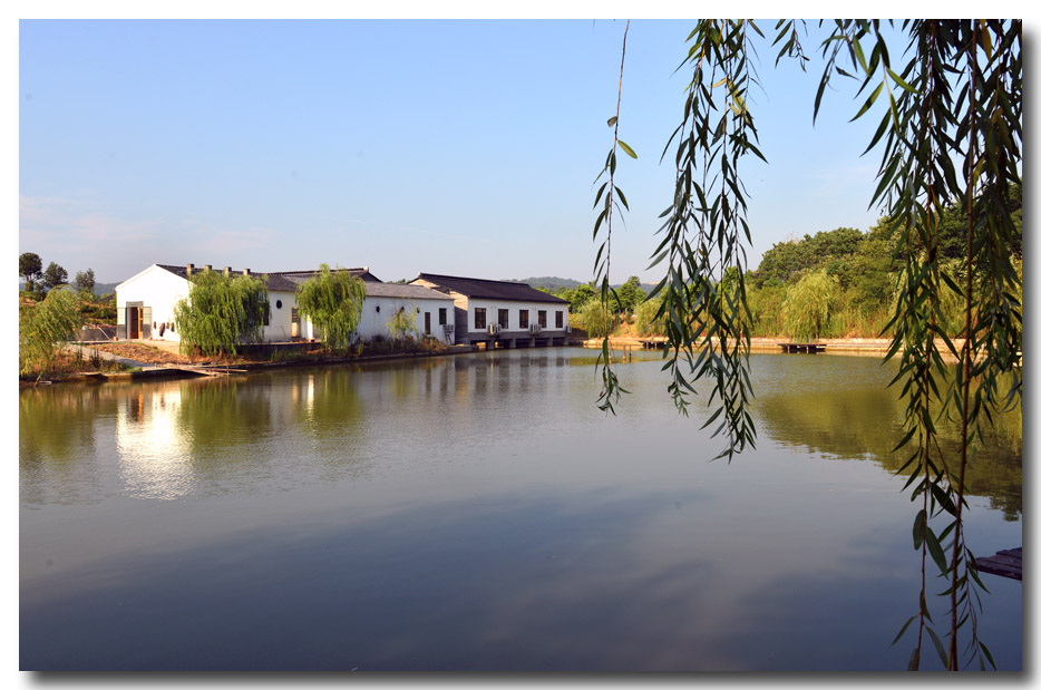 DSC_1820-3.jpg