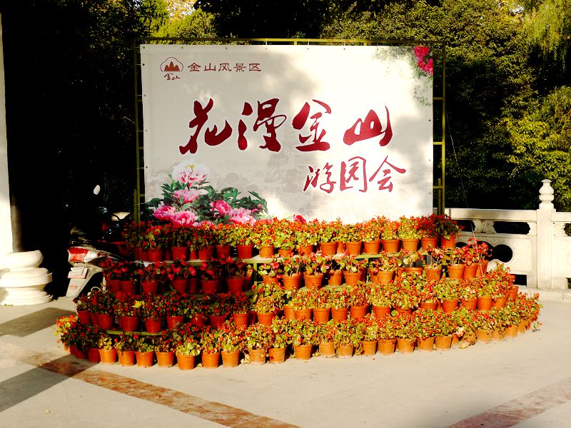 P1410866a.jpg