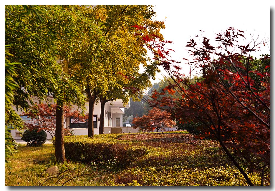 DSC_5835-3.jpg