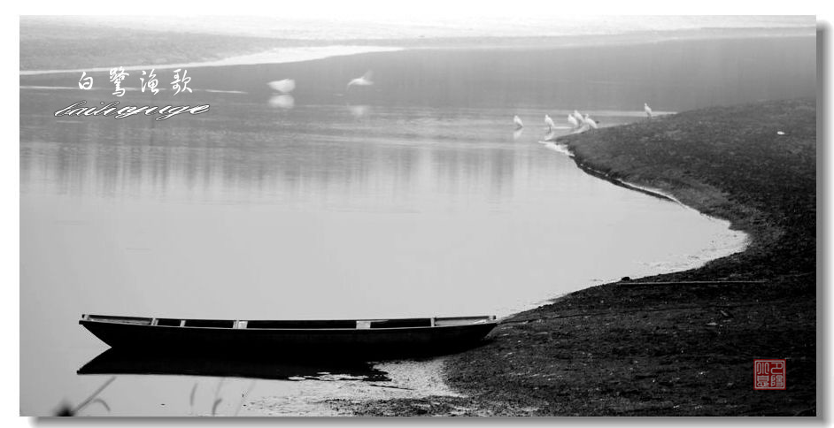 _MG_8993.JPG