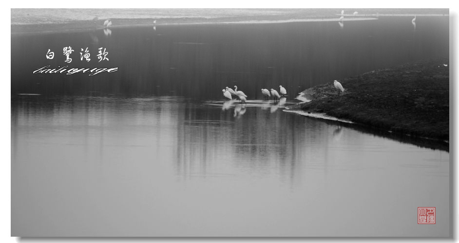 _MG_9002.JPG