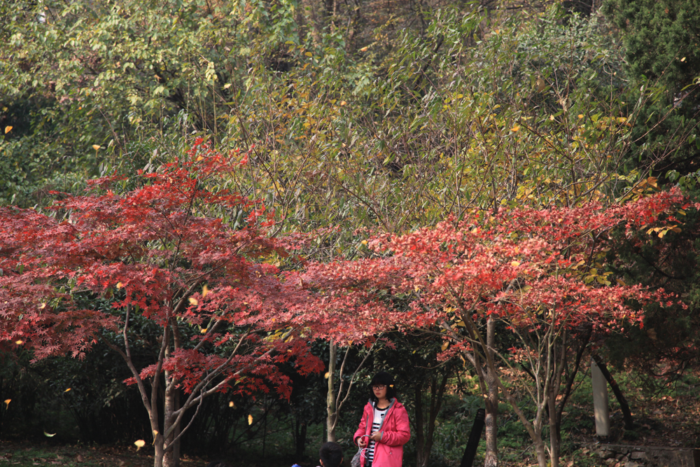 11.23南山 376.jpg