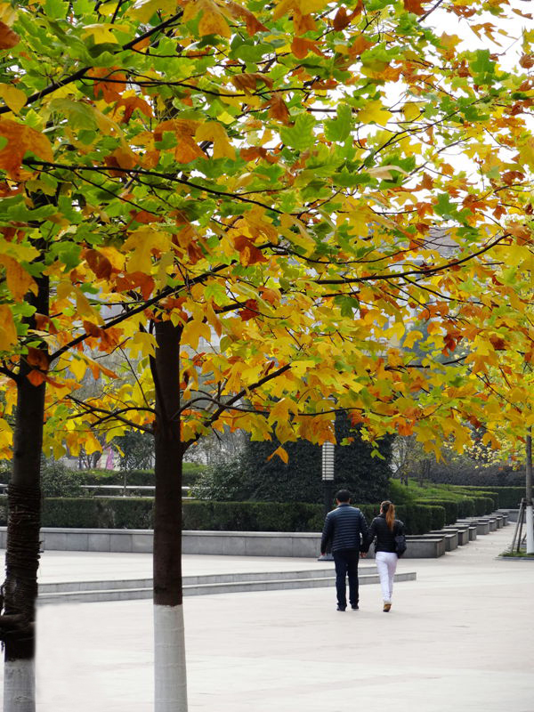DSC09129_副本.jpg