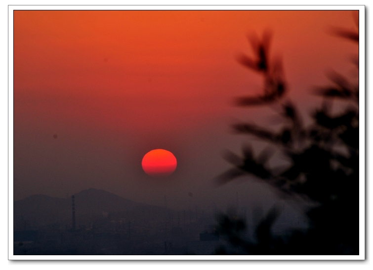 nEO_IMG_DSC_0585.jpg