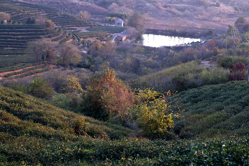 圌山006.jpg